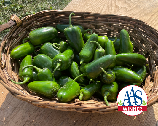 San Joaquin Hybrid Pepper Seeds - Blessings Grow Meadows