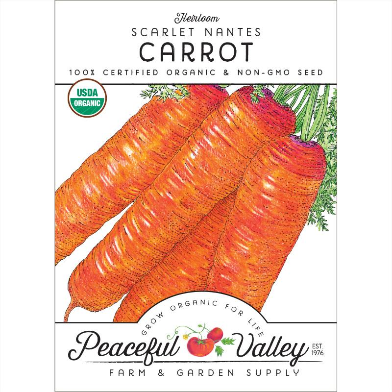 Scarlet Nantes Carrot Seeds (Organic) - Blessings Grow Meadows