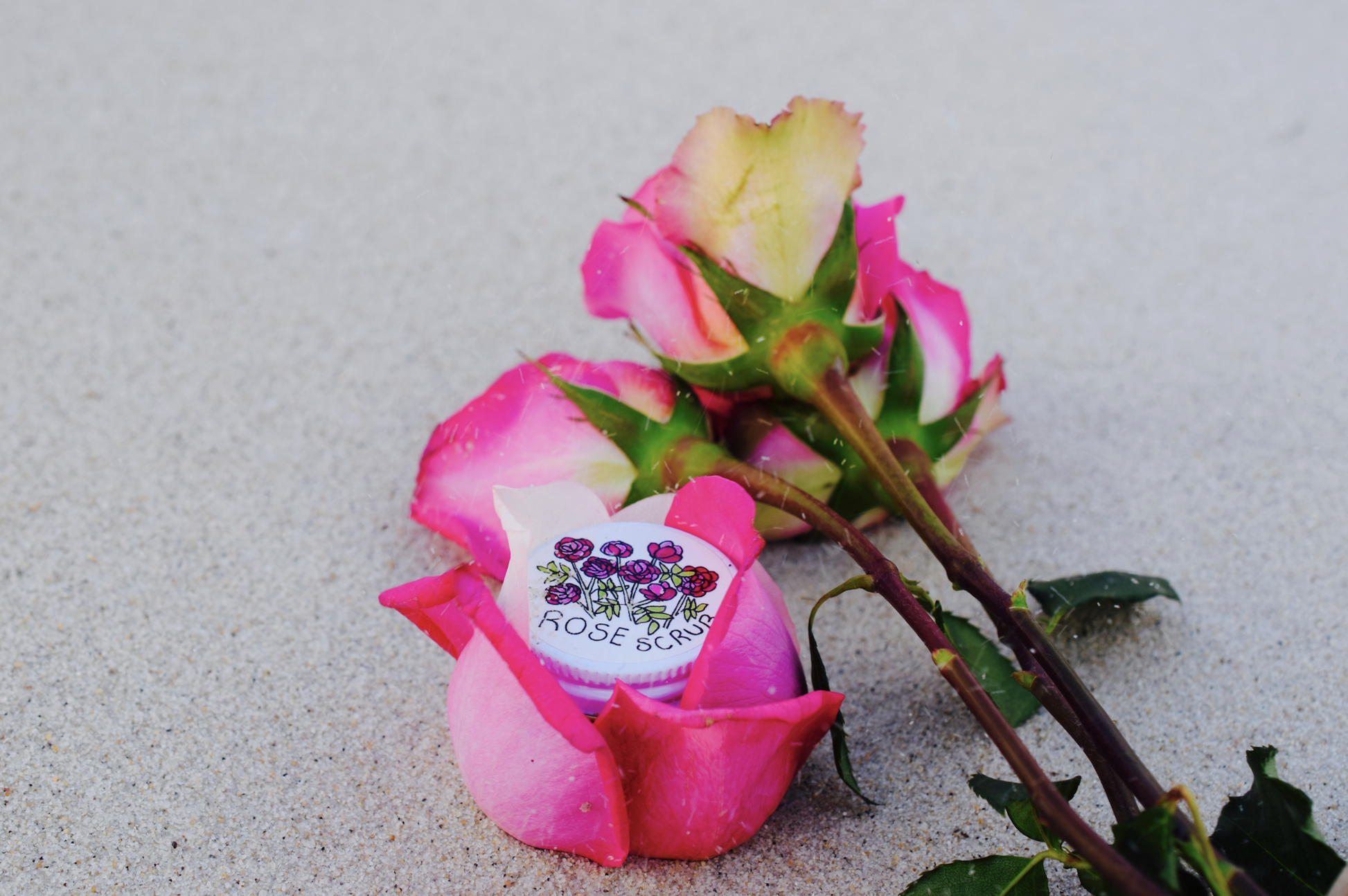 Plant Makeup Beach Rose Scrub in a jar with rose-colored exfoliating texture and natural ingredients, ready for skincare use.
