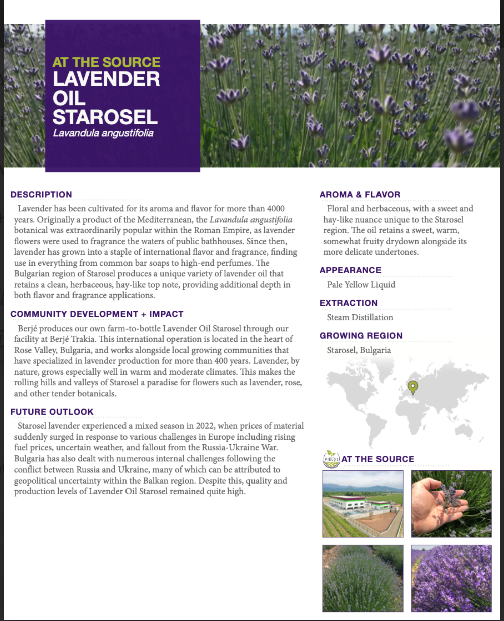 Whipped Tallow Trio - 9oz - Lavender, Vanilla, Eucalyptus Premium Quality All Natural Gift Box by The Lady May - Blessings Grow Meadows