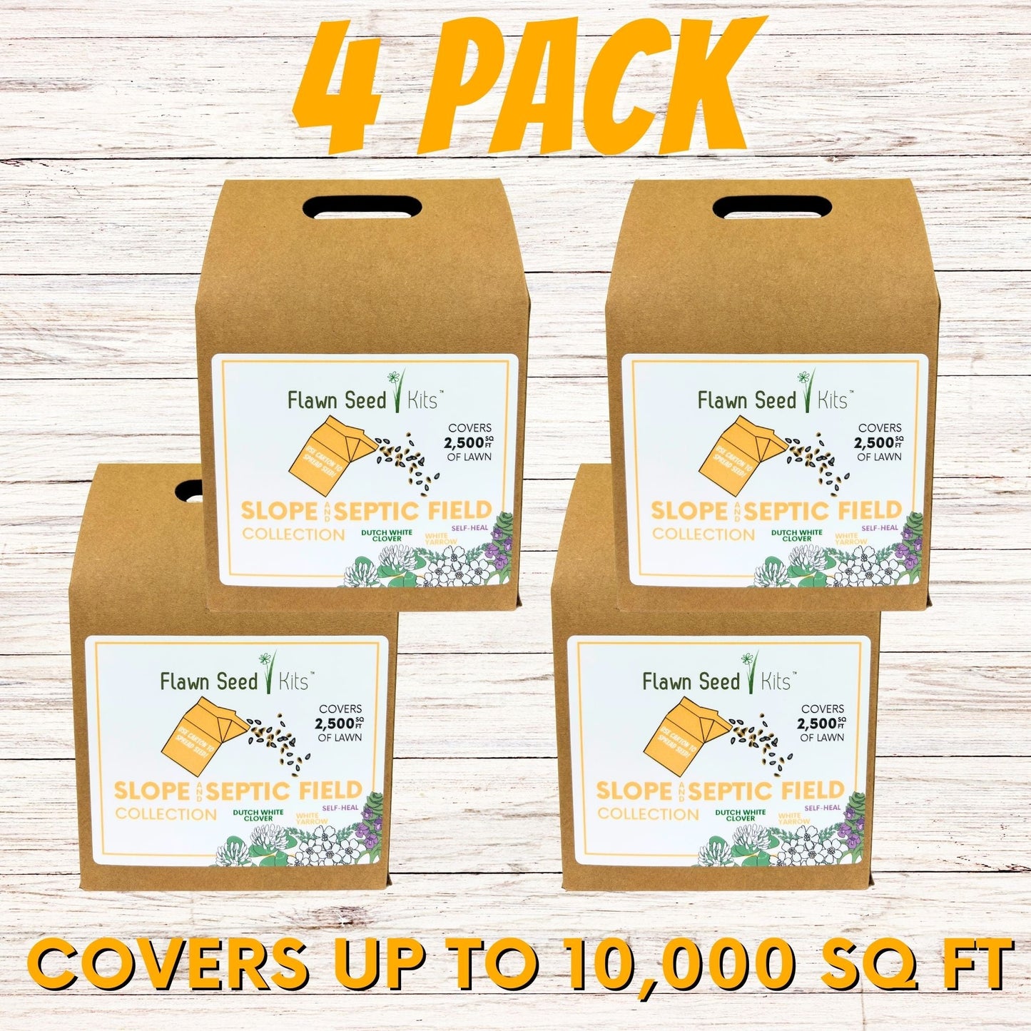 Slope and Septic System Seed Kit - Blessings Grow Meadows