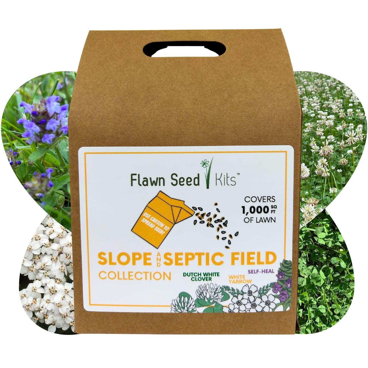 Slope and Septic System Seed Kit - Blessings Grow Meadows