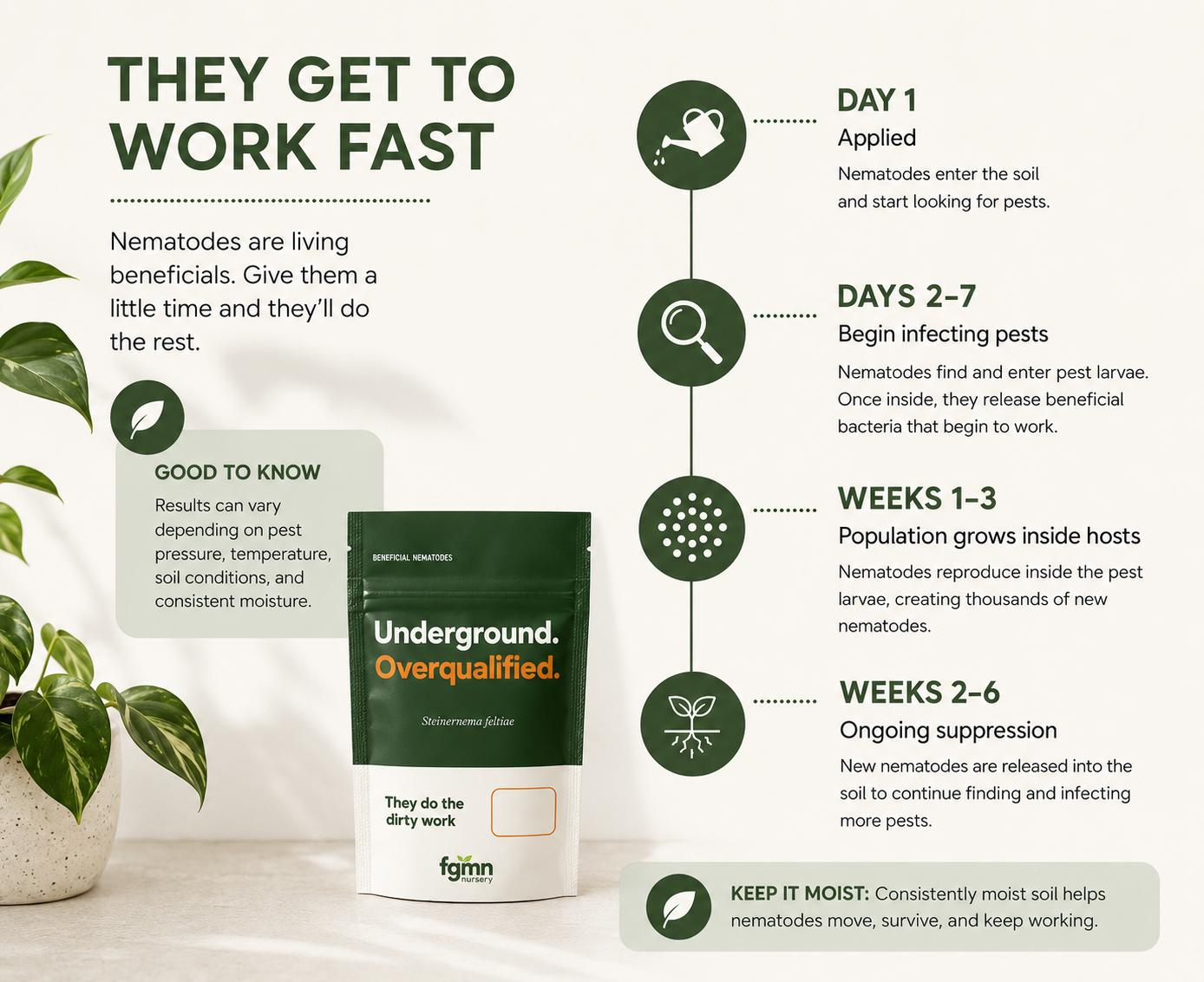 Sf Nematodes - Fungus Gnat Exterminators
