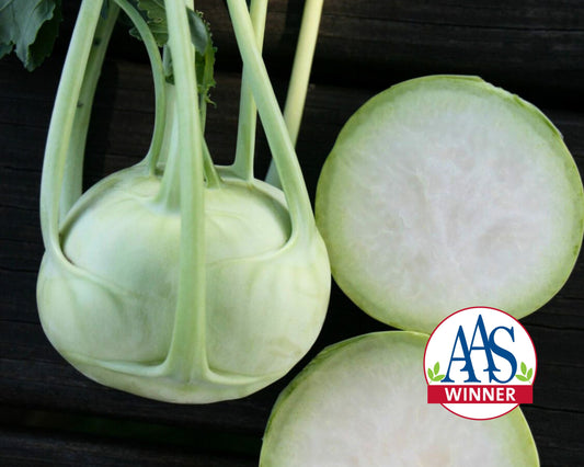 Konan Hybrid Kohlrabi Seeds - Blessings Grow Meadows