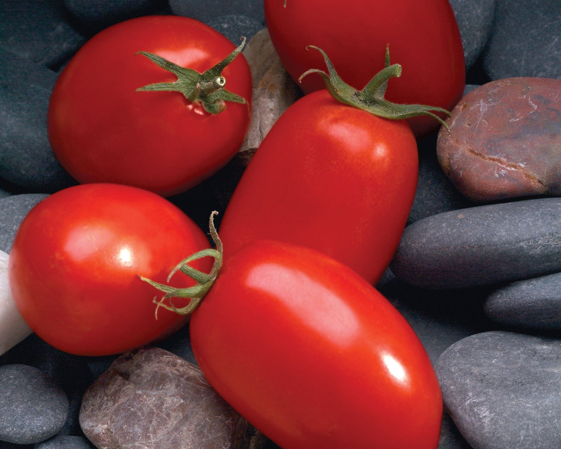 Mariana Hybrid Roma Paste Tomato Seeds - Blessings Grow Meadows