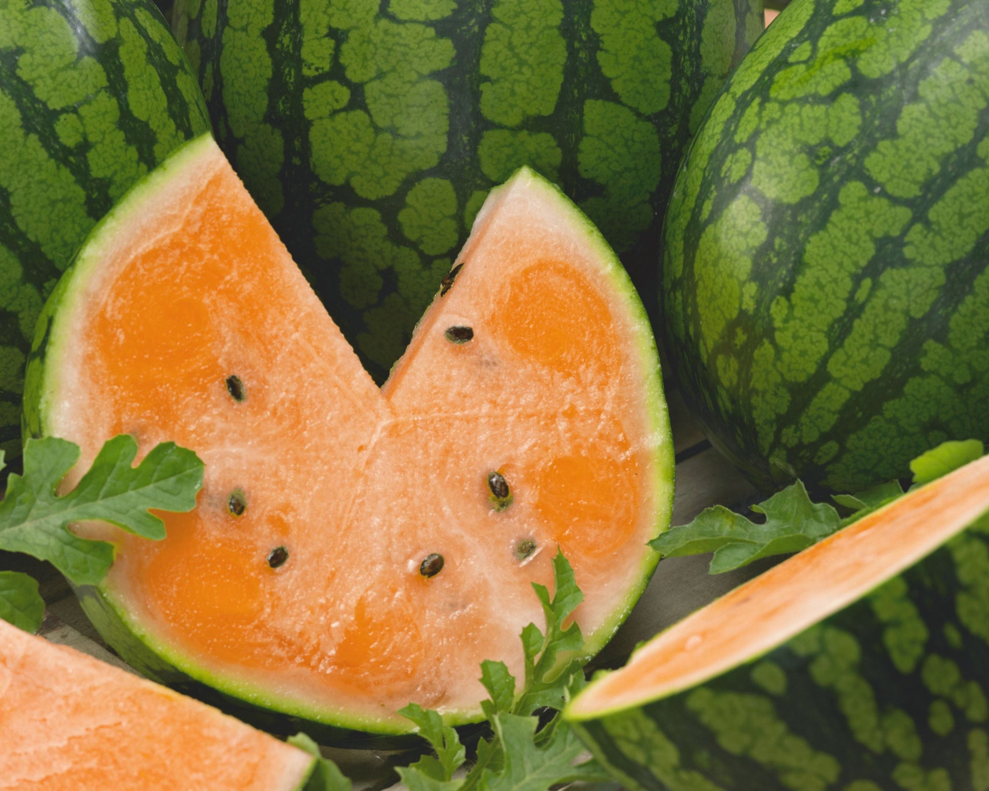 Tendersweet Orange Heirloom Watermelon Seeds - Blessings Grow Meadows