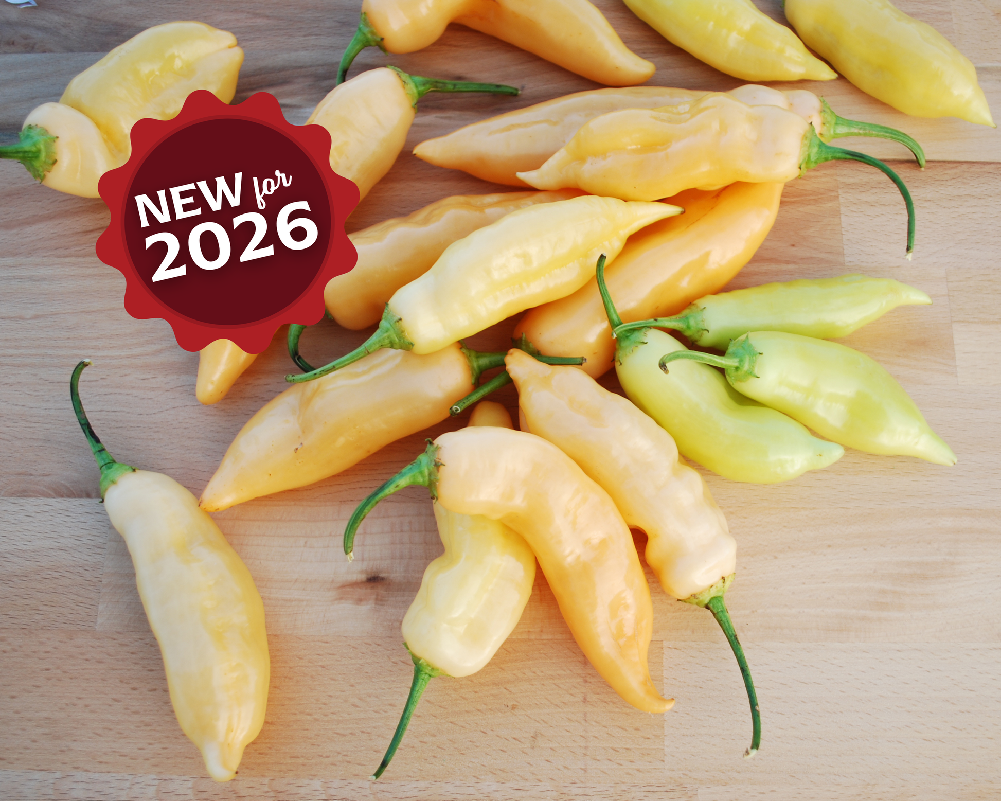 Sugar Rush Peach Pepper Seeds - Blessings Grow Meadows