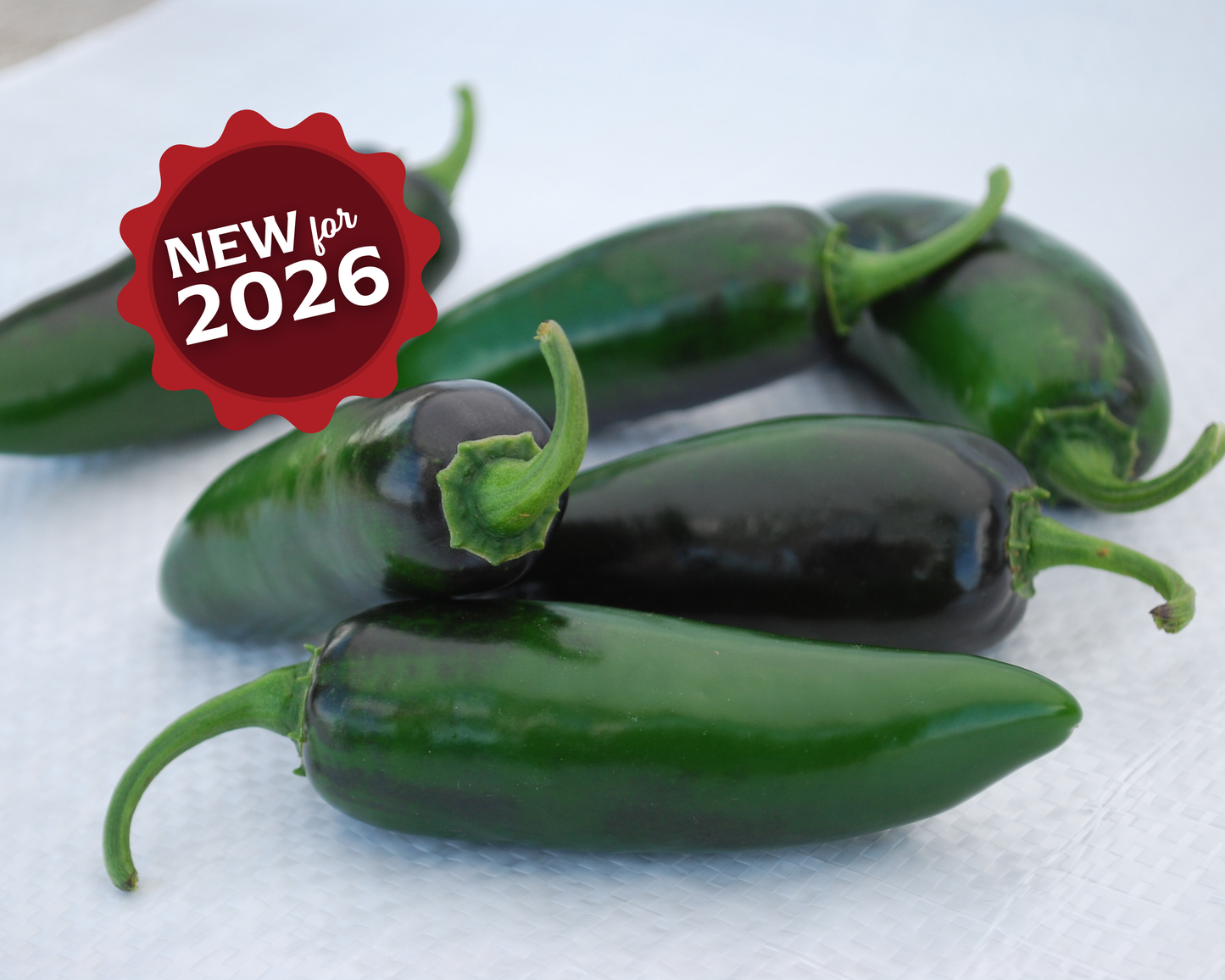 Craig's Grande Pepper Seeds - Blessings Grow Meadows