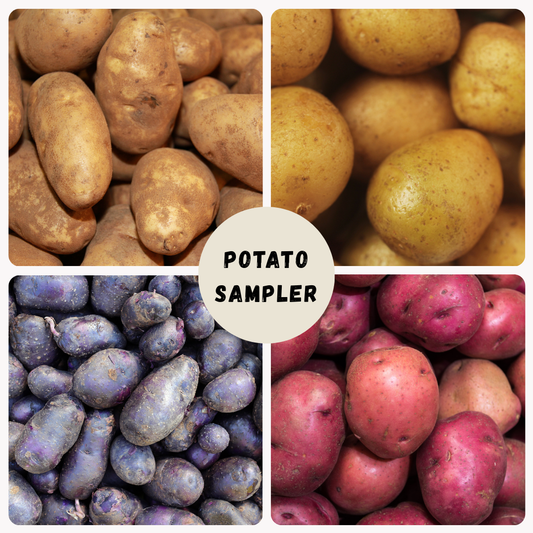 Assorted potato varieties in a sampler box from The Farm On Central, showcasing different types of fresh potatoes for tasting.