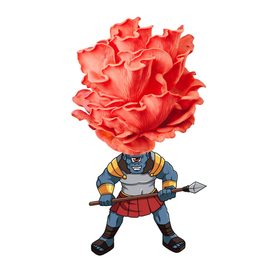 Shroom Spear - Pink Oyster Mushroom Grow Kit - 6.5 LBS - Blessings Grow Meadows