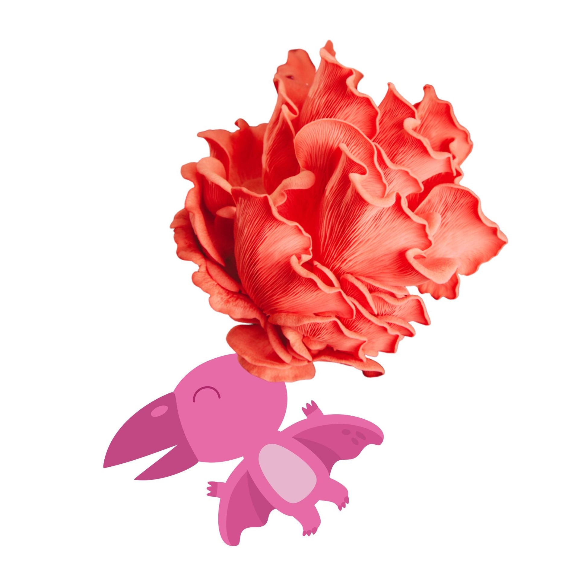 Shroomadactyl - Pink Oyster Mushroom Grow Kit - 6.5 LBS - Blessings Grow Meadows