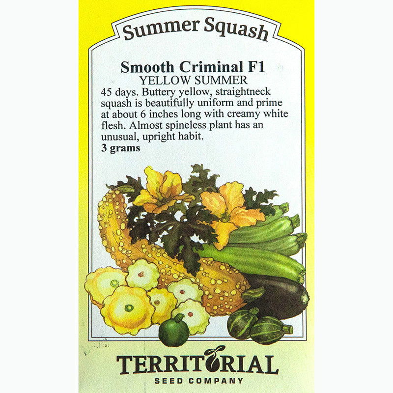 Smooth Criminal Summer Squash Seeds - Blessings Grow Meadows -