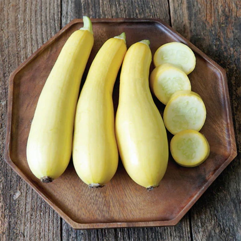 Smooth Criminal Summer Squash Seeds - Blessings Grow Meadows