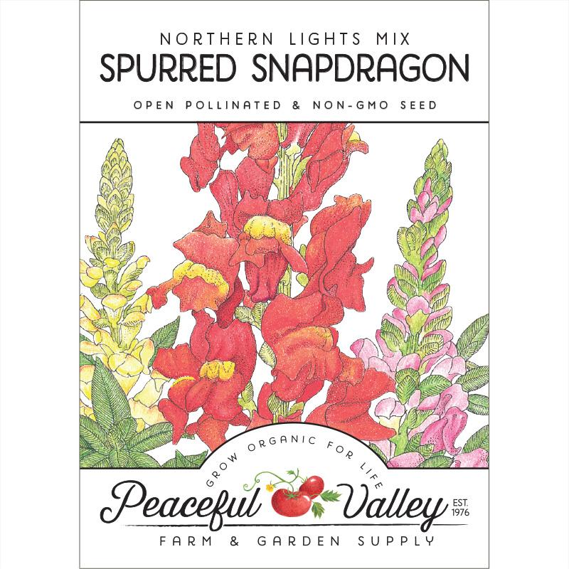 Snapdragon, Spurred (pack) - Blessings Grow Meadows