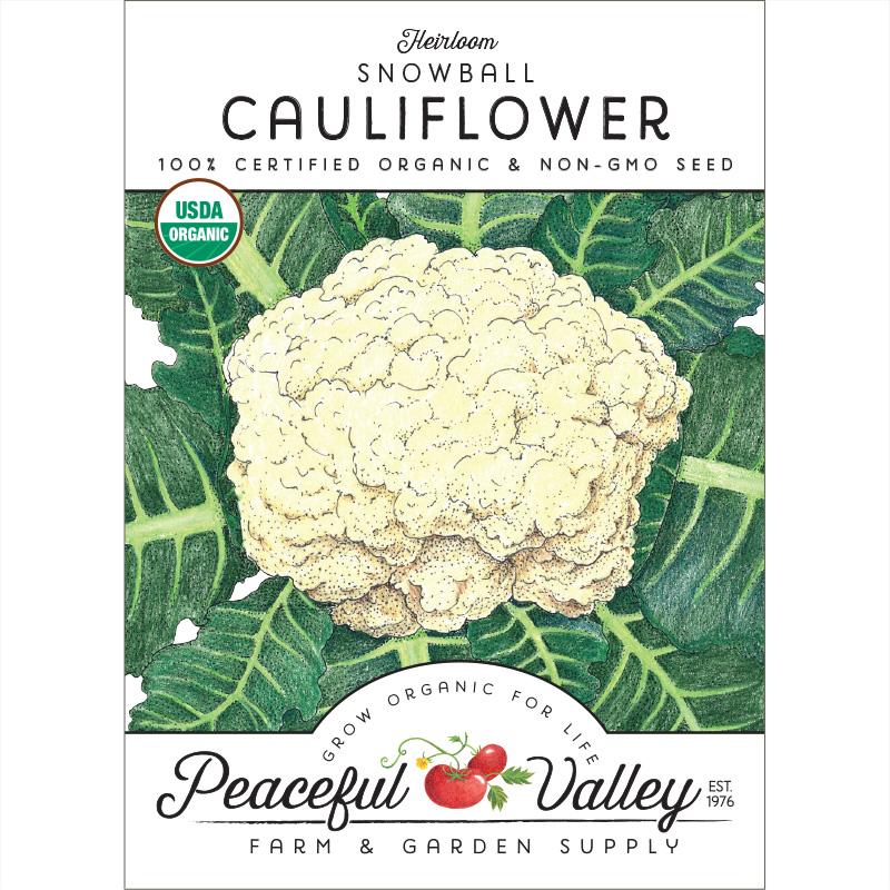 Snowball Cauliflower Seeds (Organic) - Blessings Grow Meadows