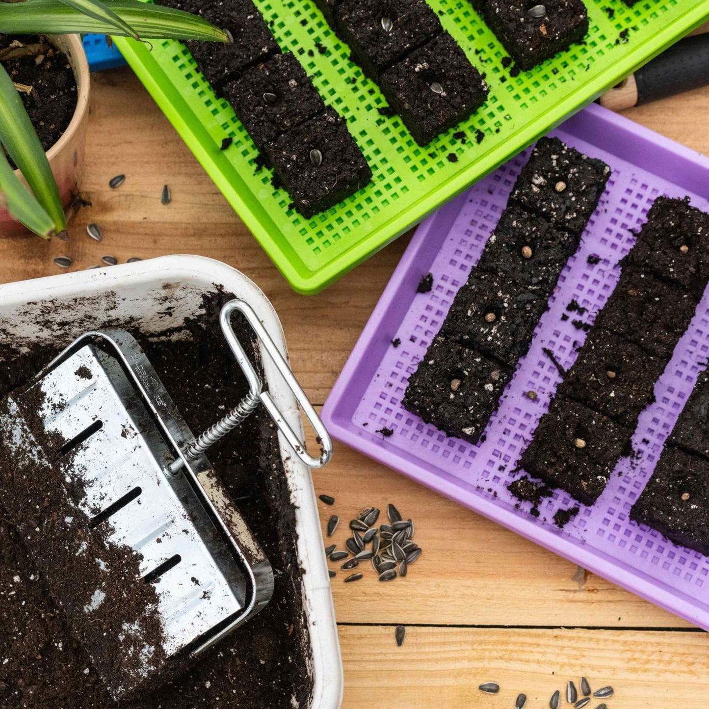 Soil Blocking Starter Kit - Blessings Grow Meadows -