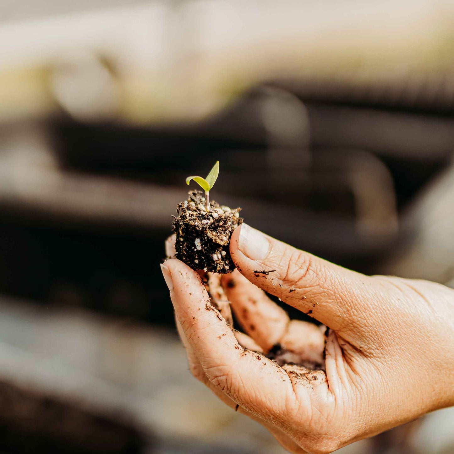 Soil Blocking Starter Kit - Blessings Grow Meadows -