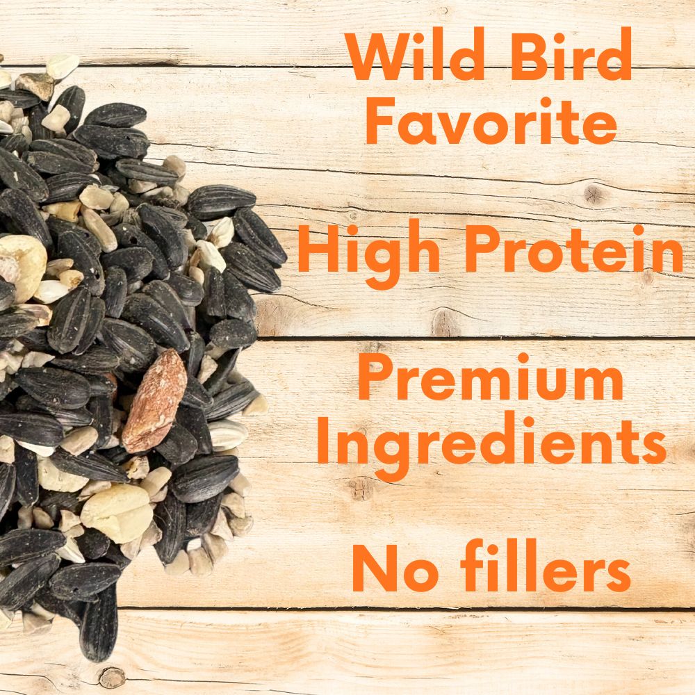 Songbird Symphony Wild Bird Seed Blend by Flawn Seed Kits shown in a clear container with colorful birdseed mix for attracting wild birds.