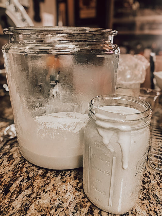 Onic Brands LLC sourdough starter in a glass jar with bubbling dough ready for baking.
