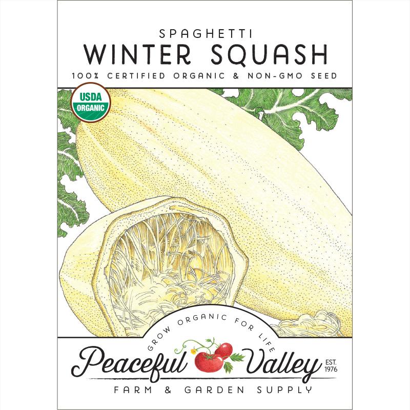 Spaghetti Winter Squash Seeds (Organic) - Blessings Grow Meadows