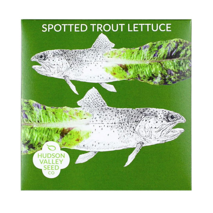 Spotted Trout Lettuce Art Pack - Blessings Grow Meadows -