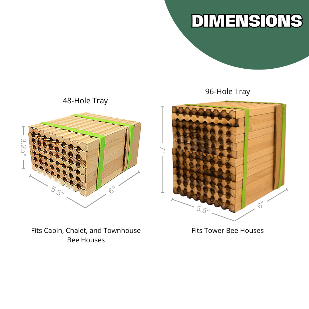 Spring reusable wood tray for mason bees by CrownBees, featuring 8mm slots for bee nesting and habitat protection.