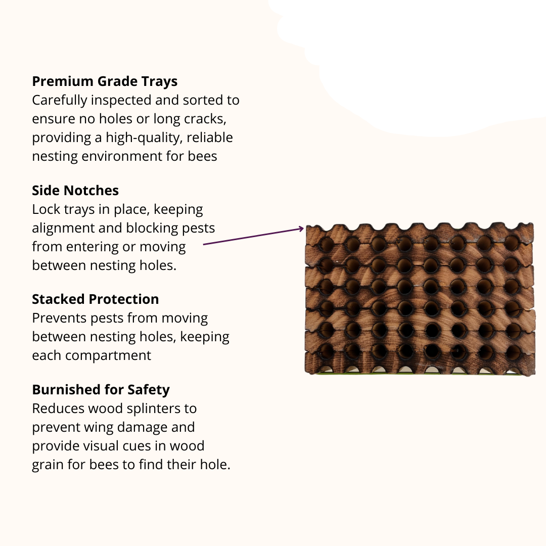 Spring Reusable Wood Trays for Mason Bees - 8mm