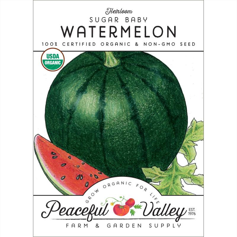 Sugar Baby Watermelon Seeds (Organic) - Blessings Grow Meadows