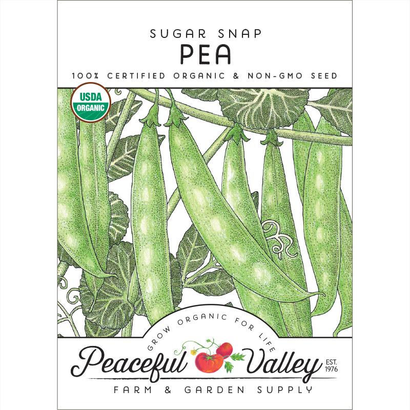 Sugar Snap Pea Seeds (Organic) - Blessings Grow Meadows