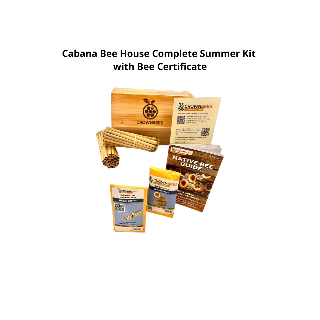 Cabana Bee House & Complete Kit with Bee Certificate - Blessings Grow Meadows