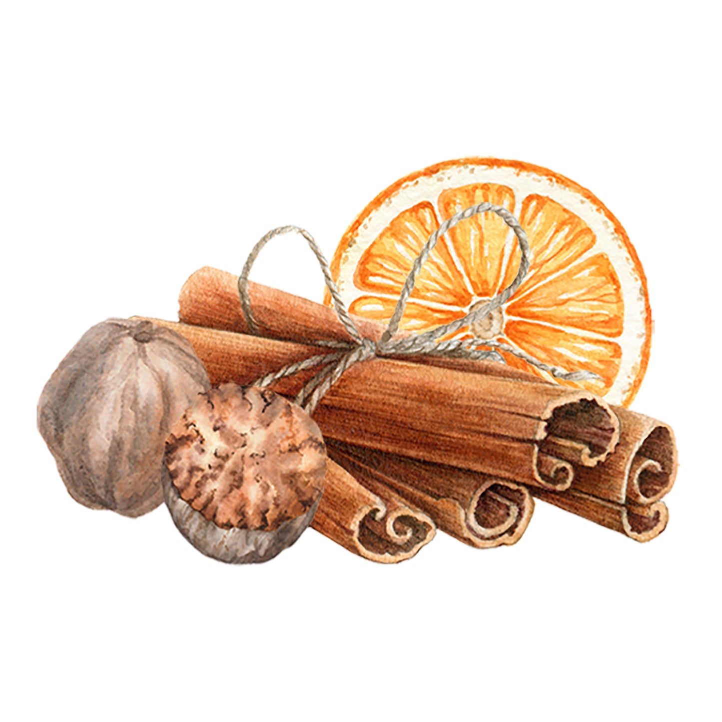 Watercolor illustration of Rustic Strengths Sweet Orange & Warm Spices Essential Oil Blend—featuring cinnamon sticks, dried orange slice, and nutmegs on white background, evoking cozy aromatherapy scents.