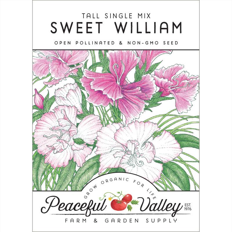 Sweet William (pack) - Blessings Grow Meadows