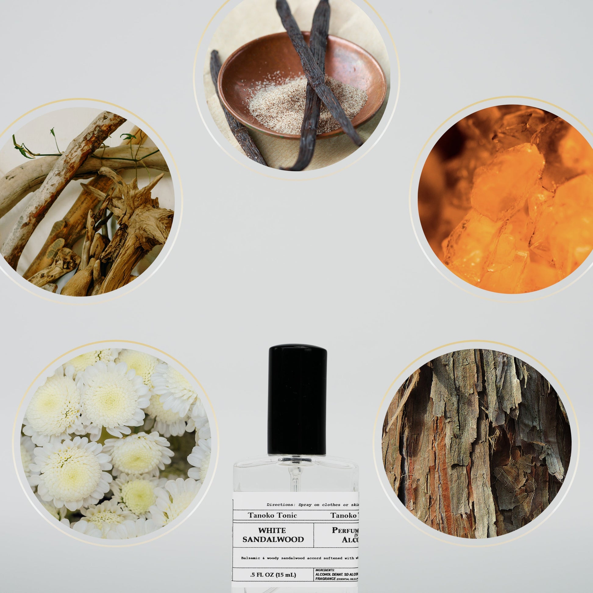At the center is a Rustic Strength Perfume Sample Pack—one vial of each scent—surrounded by circular images of vanilla beans, amber resin, wood, white flowers, and tree bark to illustrate its fragrance notes.