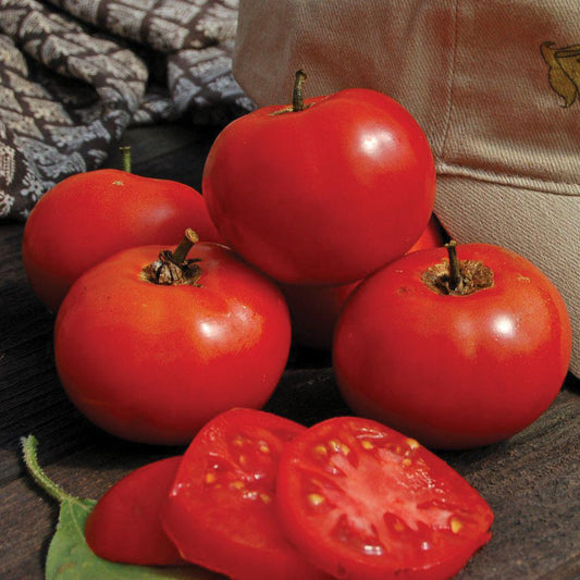 Crimson Sprinter Tomato - Blessings Grow Meadows