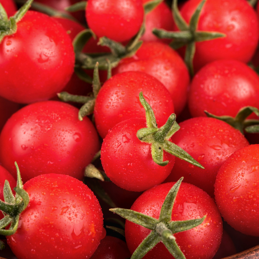 Sweetie Tomato - Blessings Grow Meadows