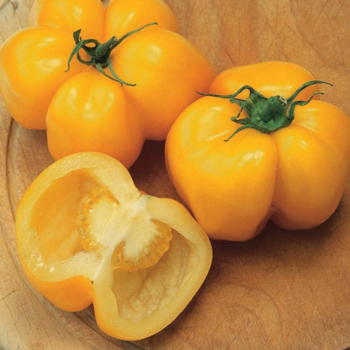 Yellow Stuffer Tomato - Blessings Grow Meadows