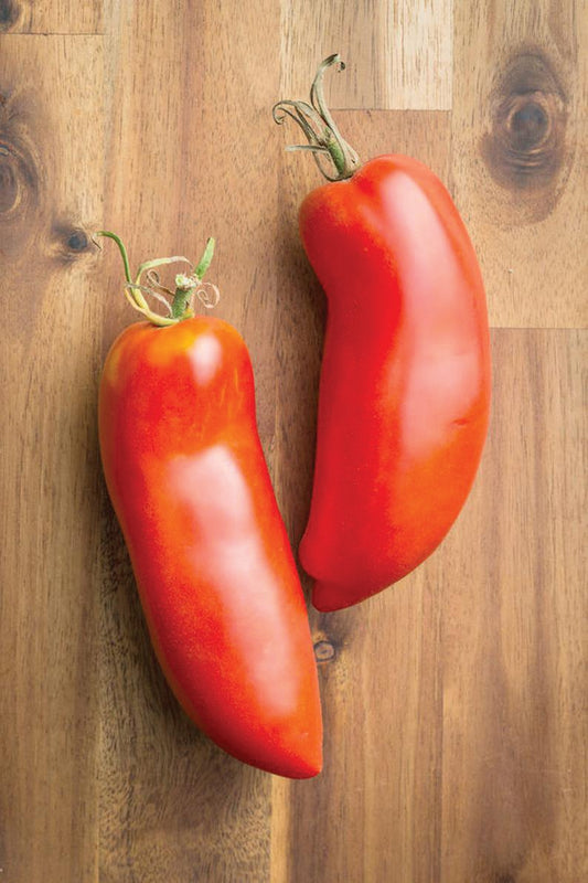 Federle Tomato - Blessings Grow Meadows