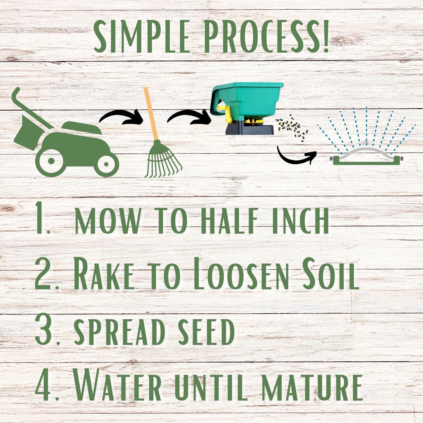 Dutch White Clover + Mow Less Grass Seed - Blessings Grow Meadows