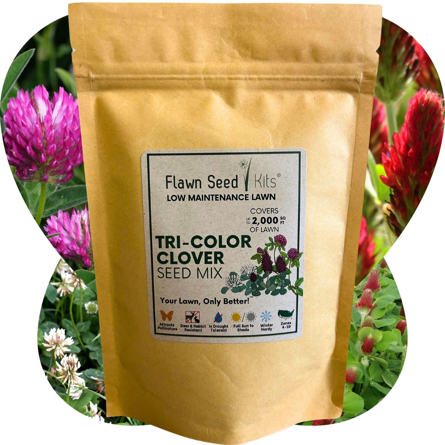 Tri-Color Clover Seed Blend - Blessings Grow Meadows