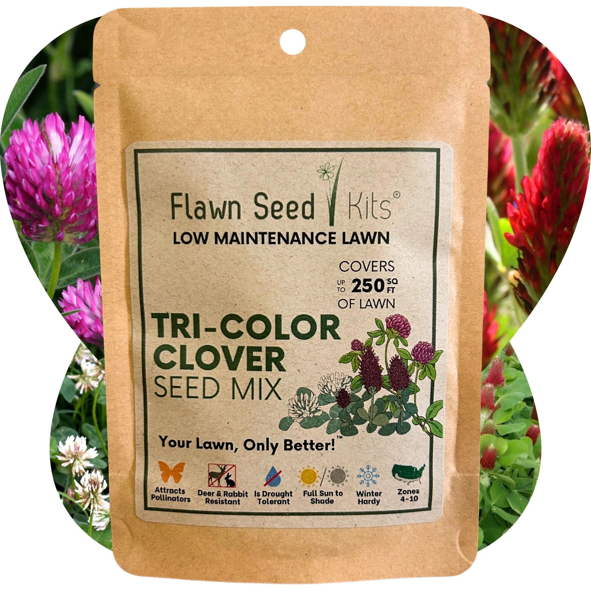 Tri-Color Clover Seed Blend - Blessings Grow Meadows