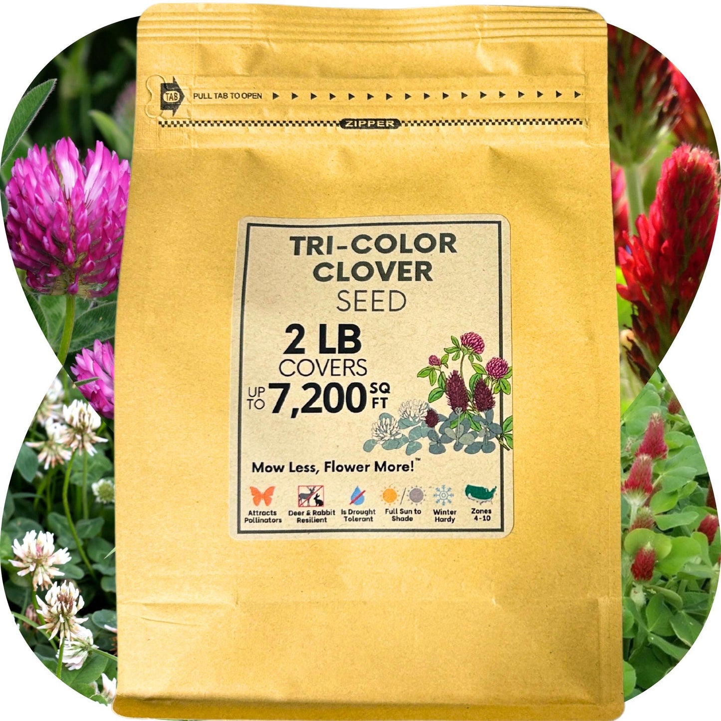 Tri-Color Clover Seed Blend - Blessings Grow Meadows