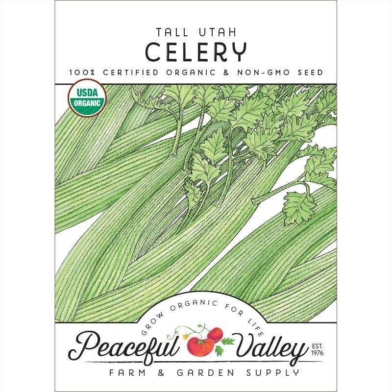 Tall Utah Celery Seeds (Organic) - Blessings Grow Meadows