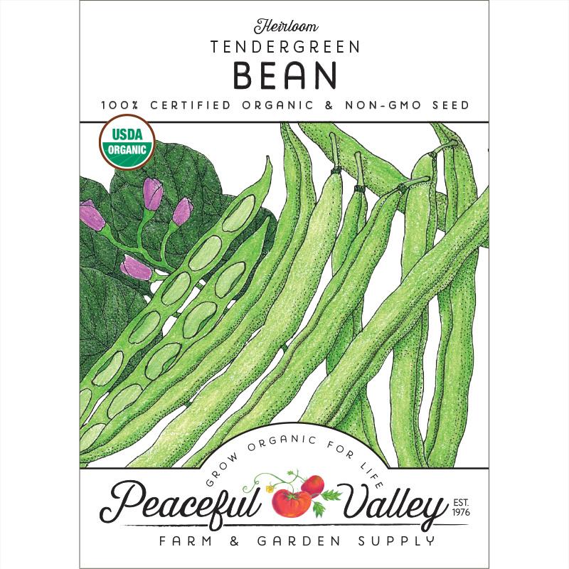 Tendergreen Bush Bean Seeds (Organic) - Blessings Grow Meadows