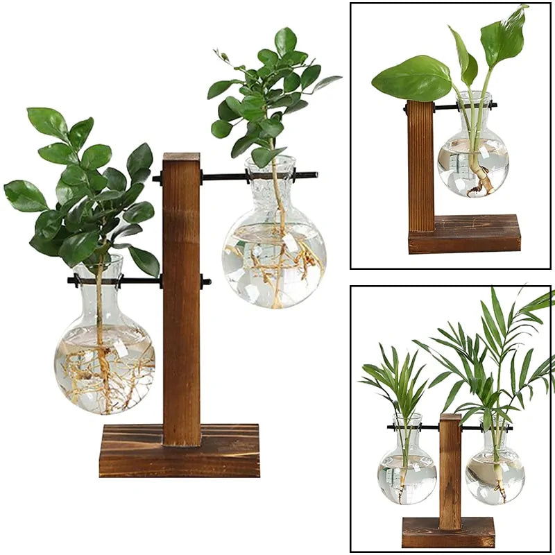 Terrarium Hydroponic Plant Vases - Blessings Grow Meadows -