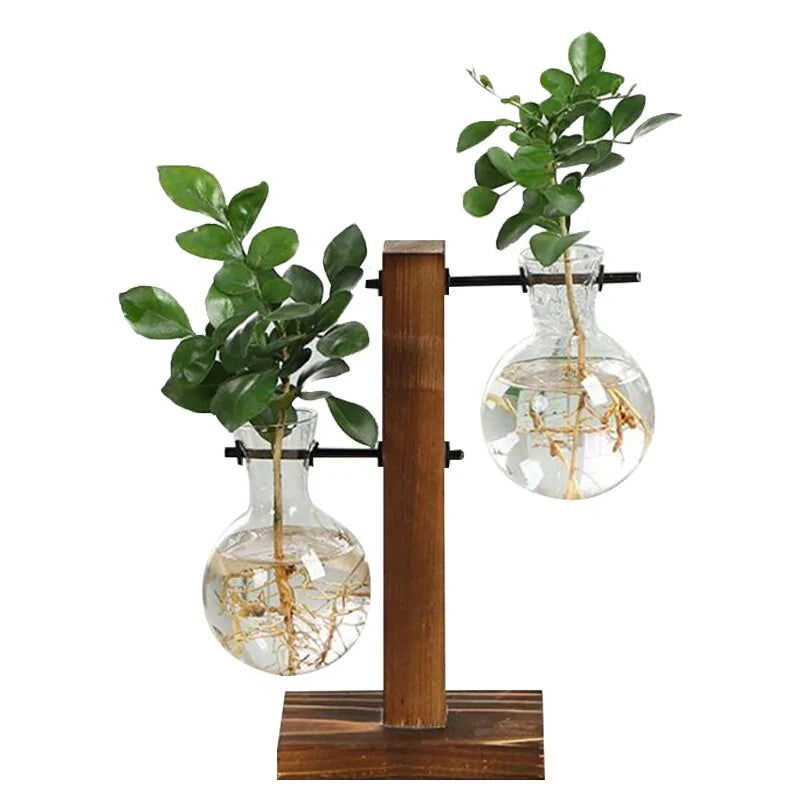 Terrarium Hydroponic Plant Vases - Blessings Grow Meadows -