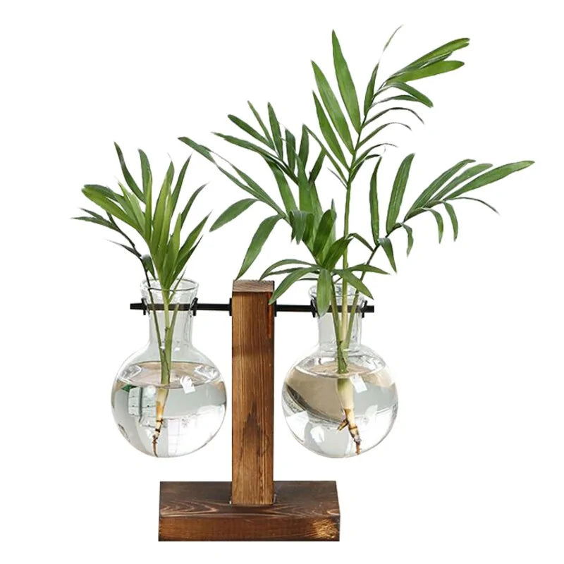 Terrarium Hydroponic Plant Vases - Blessings Grow Meadows -