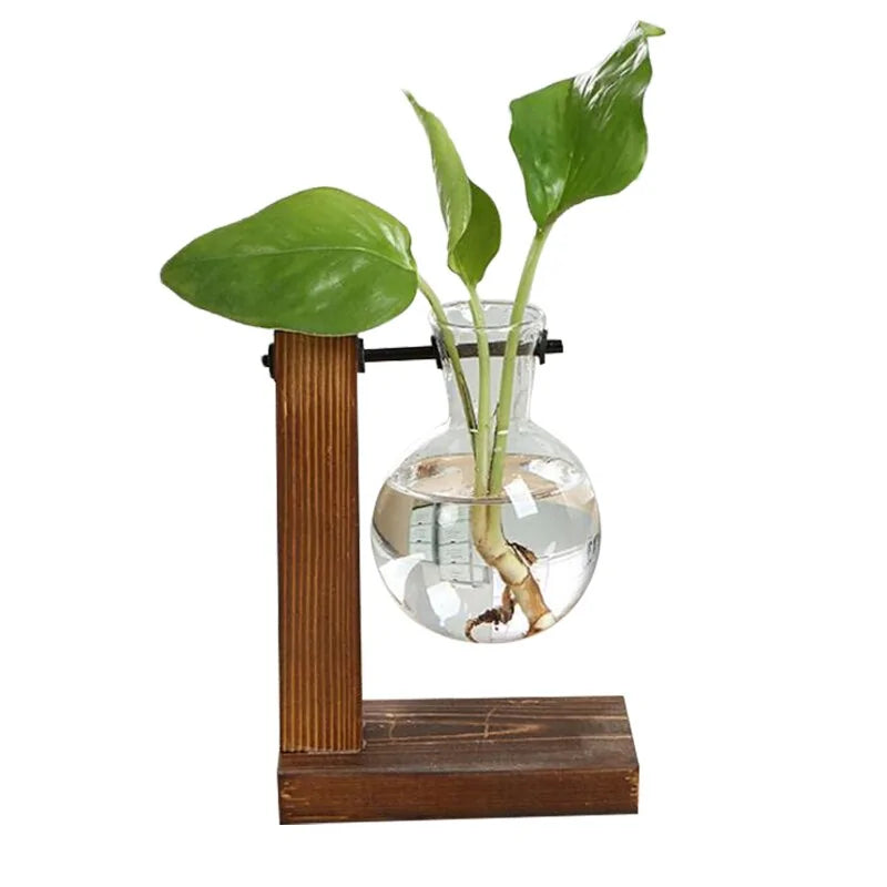 Terrarium Hydroponic Plant Vases - Blessings Grow Meadows -