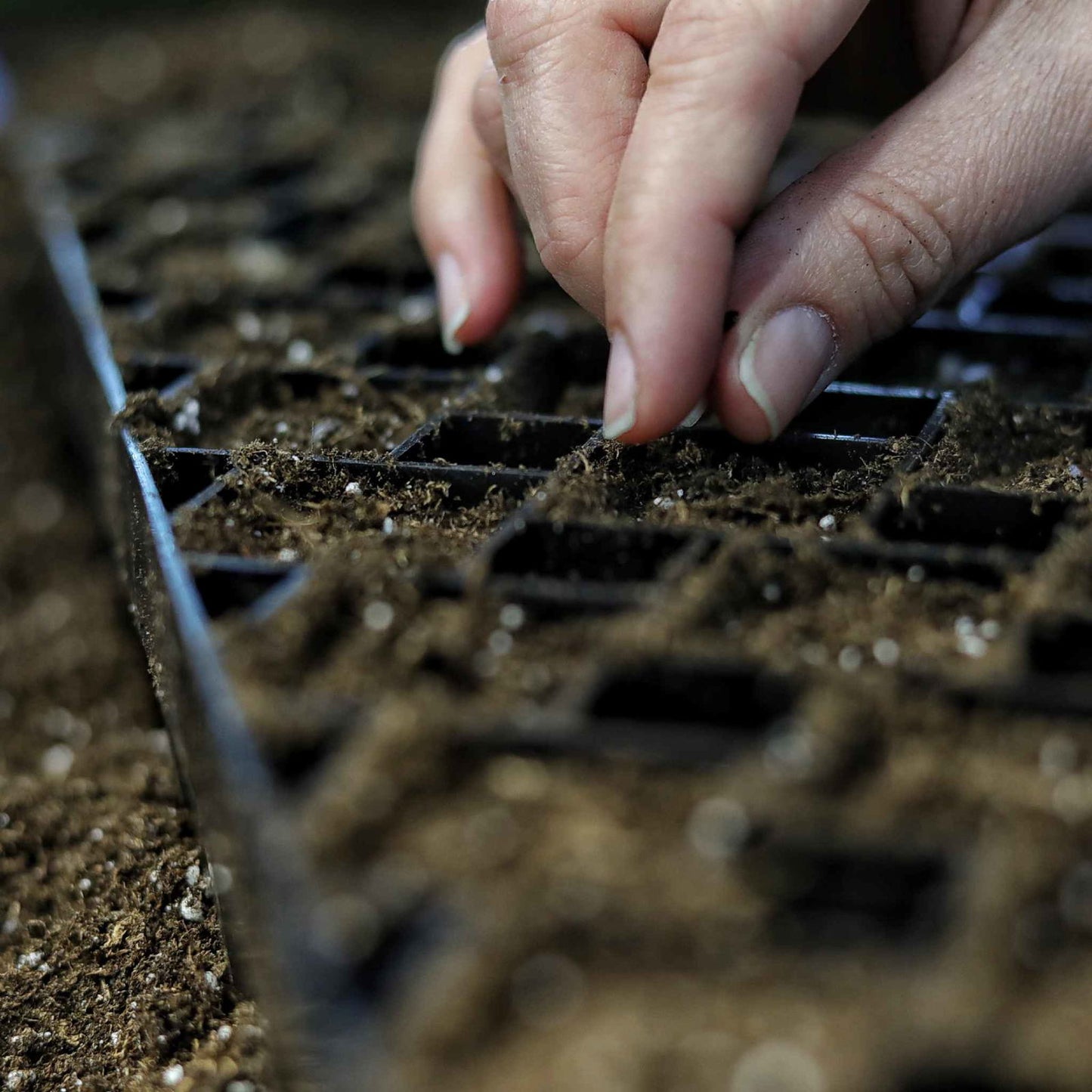 The Market Gardener Seed Starting Bundle - Blessings Grow Meadows -