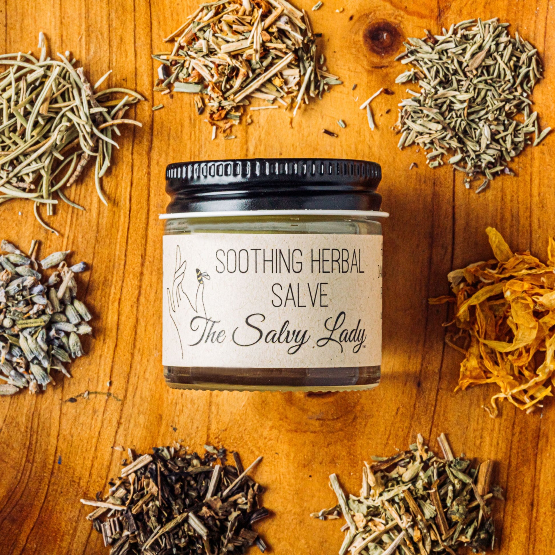 Soothing Herbal Salve | 1 oz. | The Salvy Lady - BuyNebraska.com ~ Blessings Grow Meadows