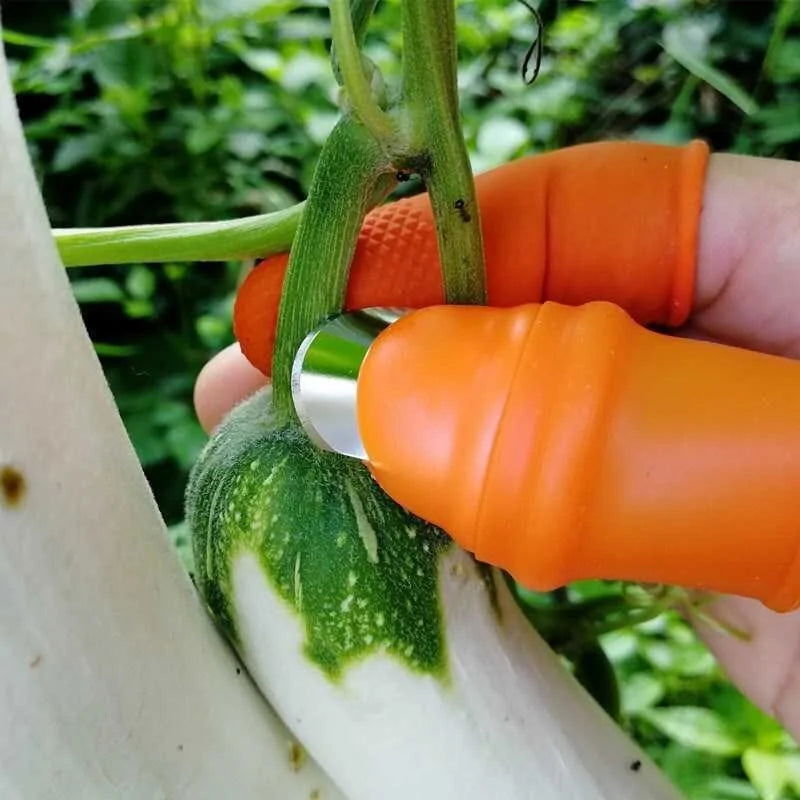 Thumb Cutter / Finger Cover - Blessings Grow Meadows